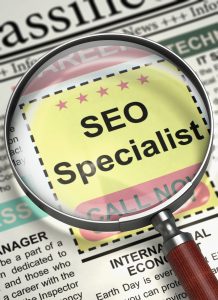 seo expert